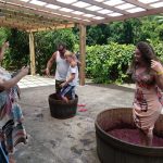 pisa Vigna Mazon 1