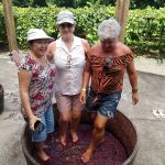 pisa Vigna Mazon 4 1 1