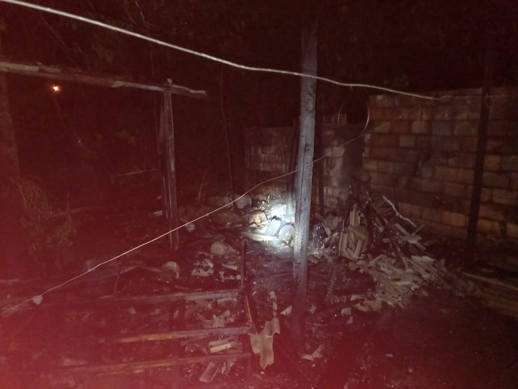 Fotos: Divulgação