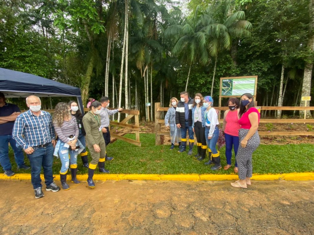 Fotos: Divulgação / Prefeitura de Cocal do Sul