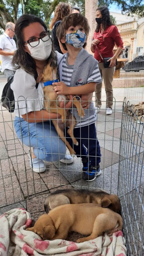 Feira de adocao animal 2