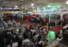 15ª AgroPonte 2026 inicia na próxima semana com expectativa de grande público