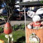 Pascoa 2022 Urussanga Foto e Video Nayglon Goulart 15