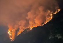 Incêndio em Longarone (Itália): Autoridades pedem que moradores fiquem em casa e que usem máscara