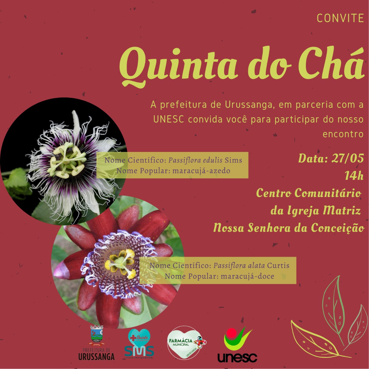 Divulgacao