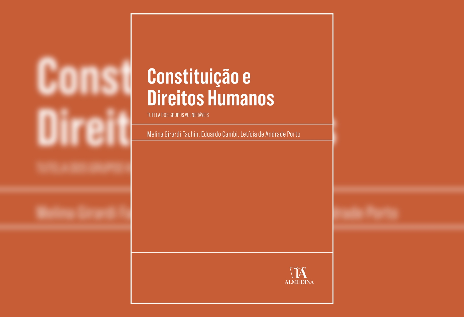 Constituicao e Direitos Humanos horizontal