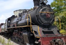 Expresso Festa do Vinho: moradores e turistas podem aproveitar passeio especial de Maria Fumaça com saída de Urussanga