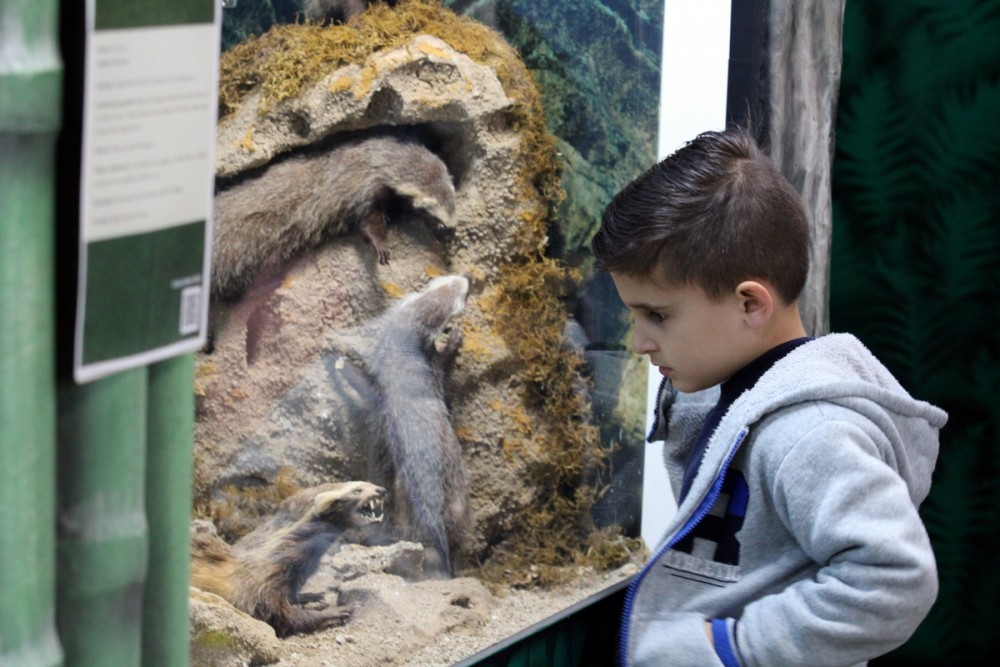 visitas ao museu 9