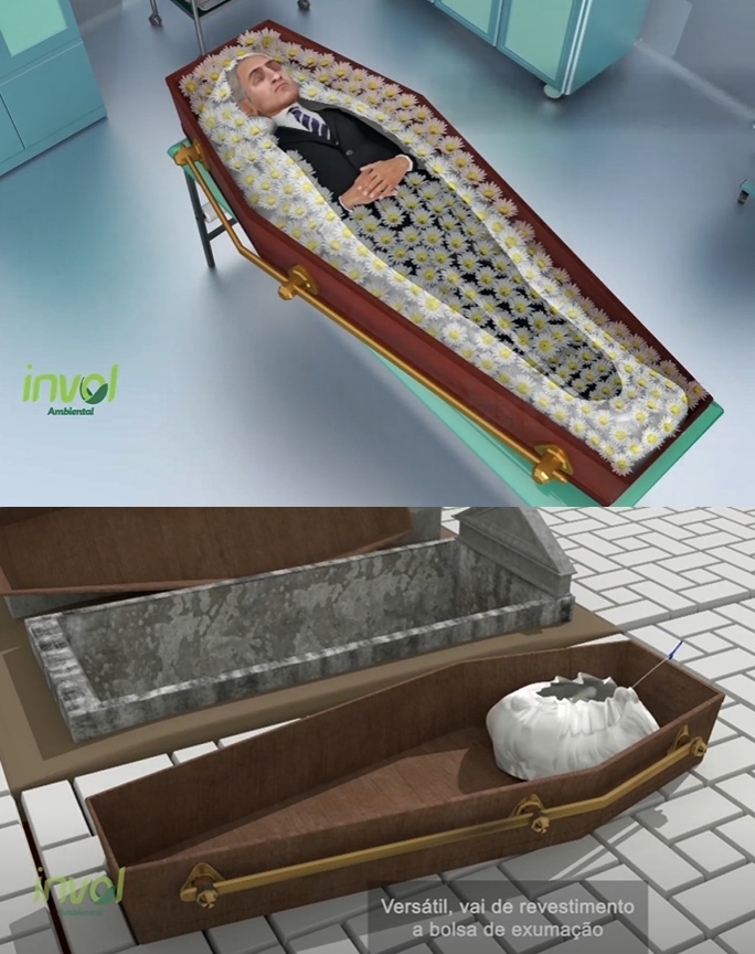 Invol Reproducao Site