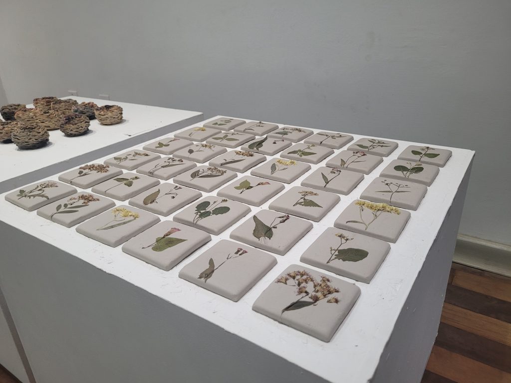 Ninhos e Sobre o cultivar um jardim memoria de Simone Milak Foto de Samuel Borges