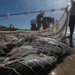 Suspensão da pesca da tainha mobiliza pescadores e autoridades em SC