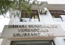 TJSC julga recurso que pode devolver mandato ao ex-vereador Luan Varnier