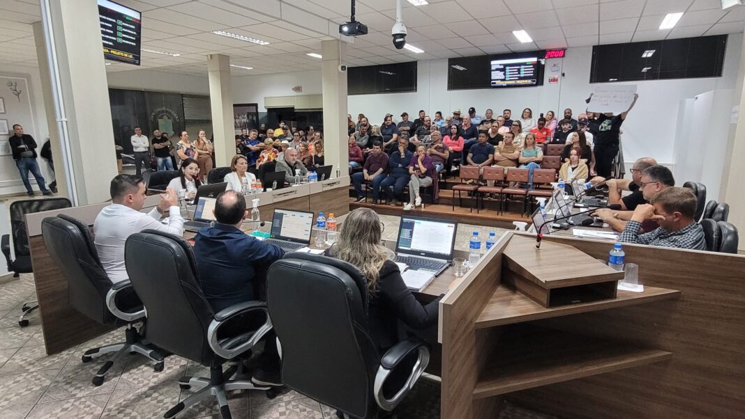 FOTO: DIVULGAÇÃO / ANA PAULA NESI
