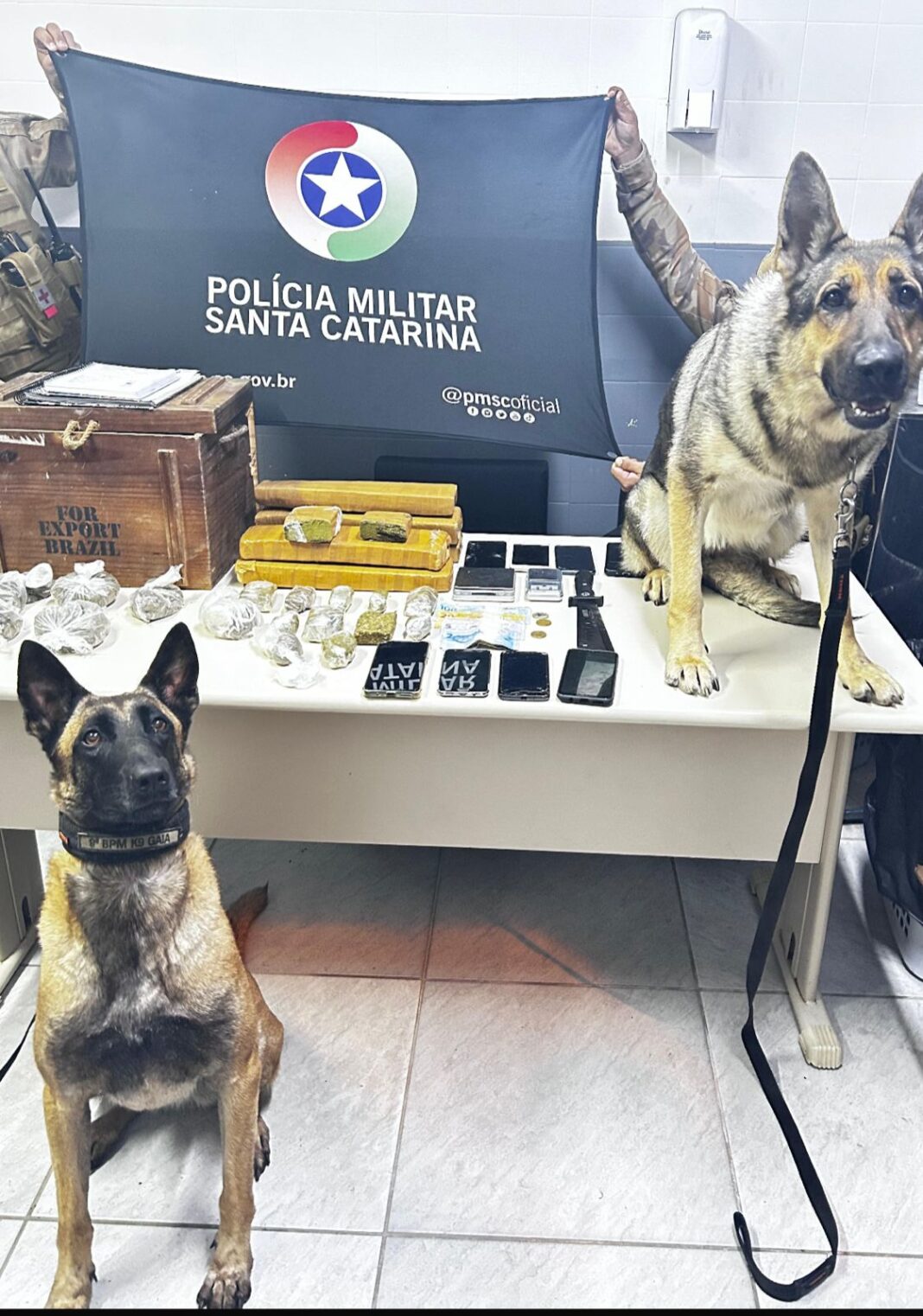 FOTO: DIVULGAÇÃO / PMSC
