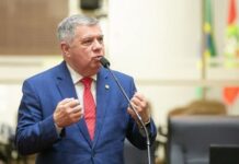 Retirada de assinaturas impede instalação de CPI do caso cão Orelha na Alesc