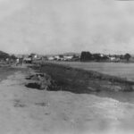 WhatsApp Image 2026 03 24 at 14.07.29 17