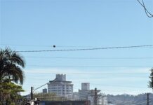 SC-108 em Cocal do Sul tem bloqueio parcial para obras nesta quinta-feira