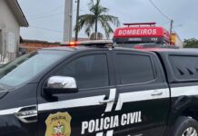 Homem é indiciado por maus-tratos e suspeita de zoofilia contra cães em Morro da Fumaça