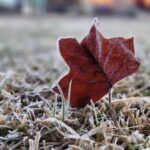 Frio intenso chega a Santa Catarina nesta quinta-feira com mínimas de -5°C