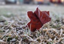 Frio intenso chega a Santa Catarina nesta quinta-feira com mínimas de -5°C