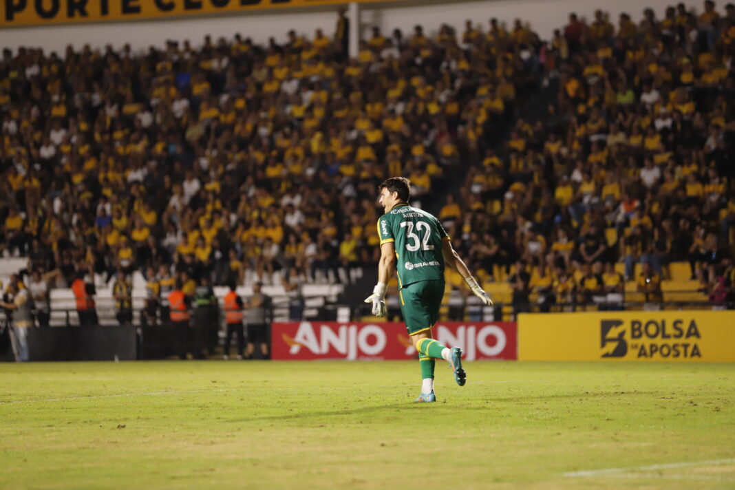 Foto: Celso da Luz/CEC