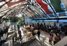 Coopercocal na Praça reúne comunidade com esporte, inclusão e diversão no dia 4 de julho