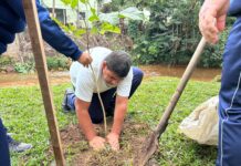 Semana do Meio Ambiente terá ações educativas, doação de mudas e recolhimento de eletroeletrônicos em Urussanga