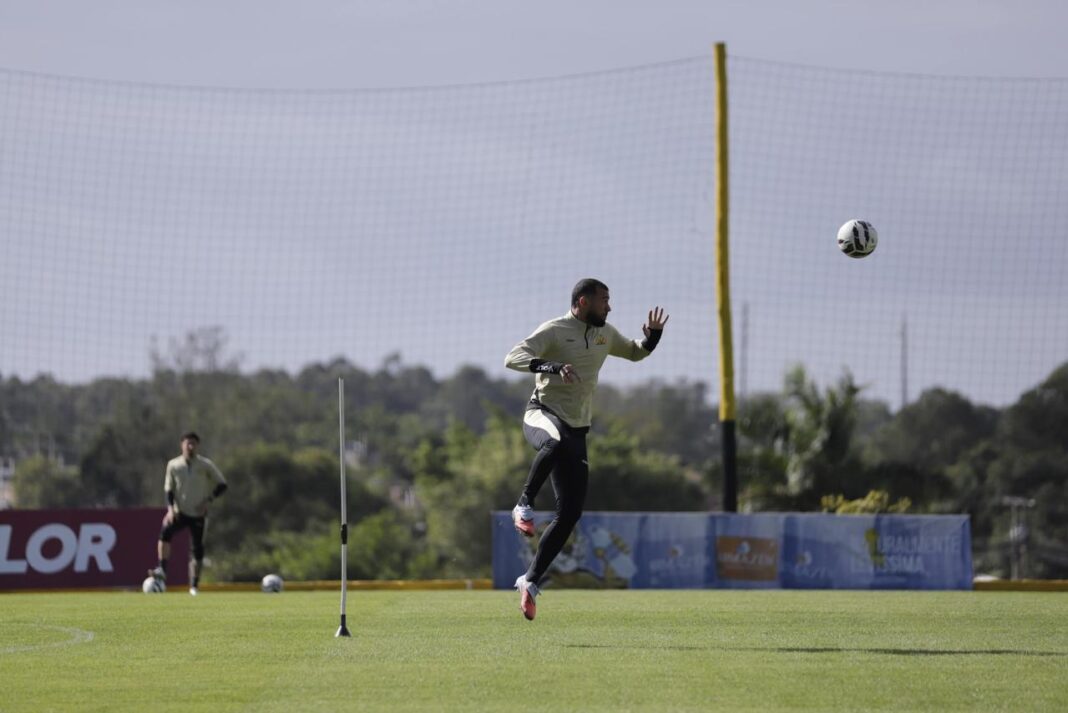 Foto: Divulgação / Celso da Luz
