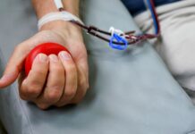 Nova Veneza recebe coleta externa de sangue do Hemosc na próxima terça-feira