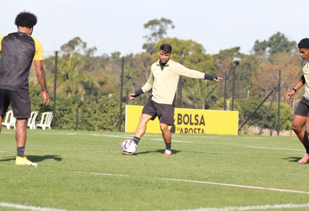 Foto: Celso da Luz/CEC
