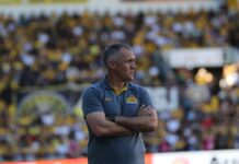 Eduardo Baptista critica calendário antes de duelo do Criciúma contra o Novorizontino