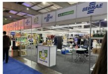 Sebrae transforma estande na AgroPonte em vitrine da agricultura familiar e do cooperativismo