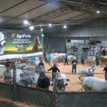 Feira AgroPonte encerra 15ª edição com público próximo de 110 mil visitantes