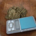 Polícia Civil cumpre mandado de busca e apreensão e prende homem por tráfico de drogas em Cocal do Sul