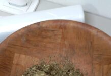 Polícia Civil cumpre mandado de busca e apreensão e prende homem por tráfico de drogas em Cocal do Sul