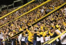 Sócios do Criciúma E.C poderão repassar acesso para outra pessoa nos jogos de setembro