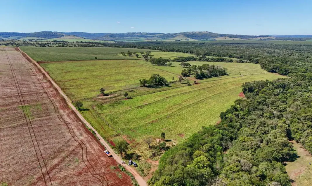 FOTO: Anderson Gibathe/Itaipu Binacional
