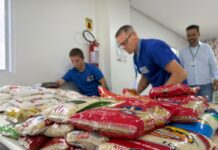 Mais de duas toneladas de alimentos arrecadadas na Cocalfest chegam a entidades da região