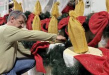 Morro da Fumaça inicia preparativos para as celebrações do Natal 2026