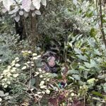 Carro capota e cai em ribanceira no bairro Santana, em Urussanga